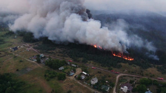 Ущерб от двух крупных лесных пожаров в Воронежской области оценили в 11 млн рублей