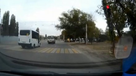 В Воронеже наказали четырёх водителей маршруток, подряд проехавших на красный