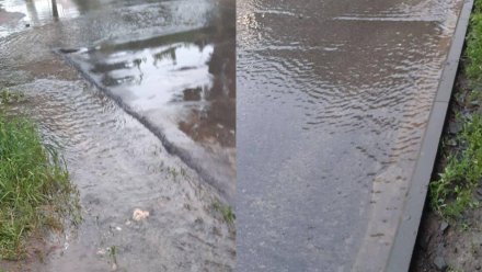 Воронежцы пожаловались на 30-дневный потоп чистой воды в частном секторе