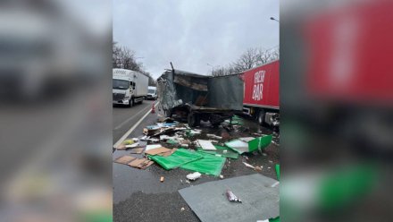 Водитель фуры скрылся с места ДТП на М-4 под Воронежем