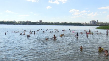 Роспотребнадзор перечислил опасные для купания пляжи в Воронеже