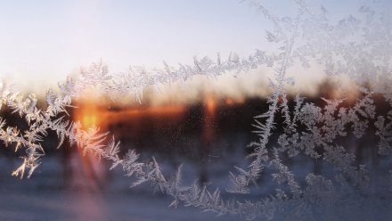 Оранжевый уровень погодной опасности объявили в Воронежской области из-за морозов