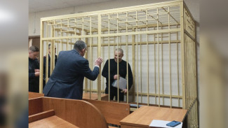 Бизнесмен получил 17 лет строгого режима за покушение на экс-главу Рамонского района 