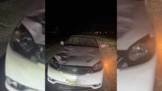 Под Воронежем 21-летний парень насмерть сбил пешехода