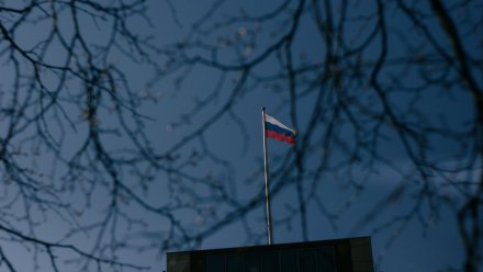 Уроки в воронежских школах будут начинаться с подъёма российского флага