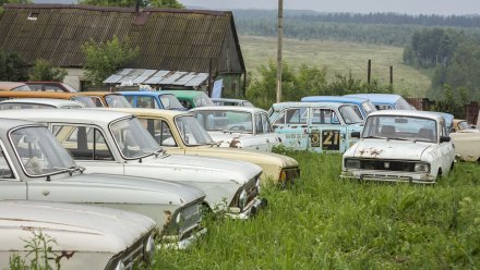 Воронежец выставил на продажу ржавый «Москвич» за 740 тыс. рублей