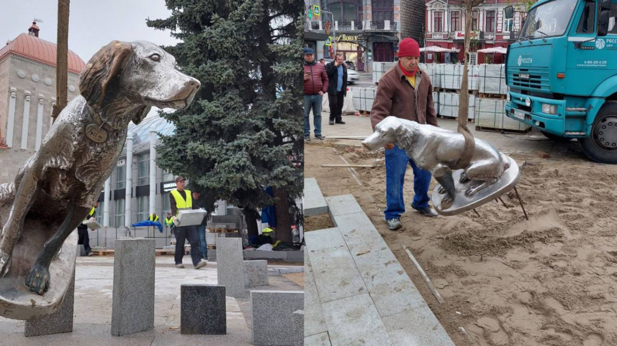 Белый Бим спустя год вернулся на главную улицу Воронежа – Новости Воронежа  и Воронежской области – Вести Воронеж