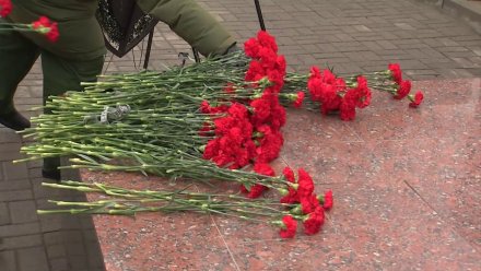 В Воронежской области возбудили дело из-за вечеринки на братской могиле