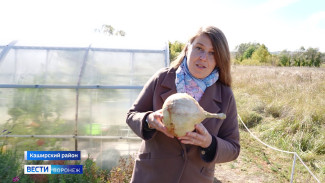 Итоги 2025 года. Воскрешение Железного  Феликса, ферма с рабами и овощи-гиганты