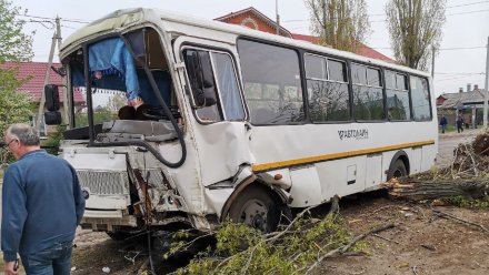 В Воронеже после ДТП маршрутка влетела в дерево: пострадали 3 пассажира