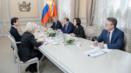 Технико-экономическое обоснование проекта метро в Воронеже станет итогом работы над генпланом