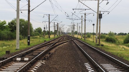 В Воронежской области электричка зацепила идущего вдоль путей 14-летнего подростка