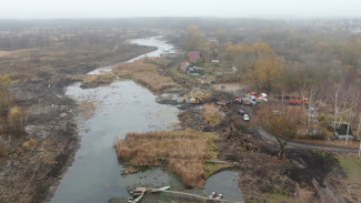 За небрежную расчистку воронежской Усманки подрядчик заплатит ещё 800 тыс. рублей