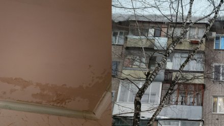 В Воронеже начало затапливать жильцов пятиэтажки на улице Ватутина