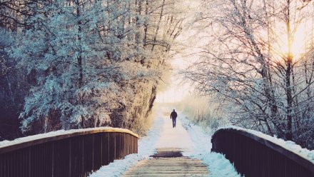 Синоптики сообщили, будет ли снег на Новый год в Воронежской области
