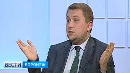 Курирующий Воронежскую область депутат придумал «новогодний капитал»