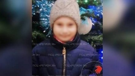 В Воронеже вышла на прогулку и исчезла 11-летняя девочка