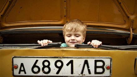 ГИБДД спросит у воронежцев, нужны ли им бесплатные автокресла для детей