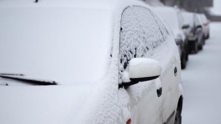 В Воронеже временно перекроют движение по улице Коммунаров