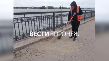 В Воронеже устранили яму на Петровской набережной после травмирования девушки