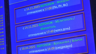 Из Воронежа в Мелитополь отправился первый автобус