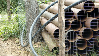 Активисты забили тревогу из-за порчи деревьев трубами в воронежском «Танаисе»