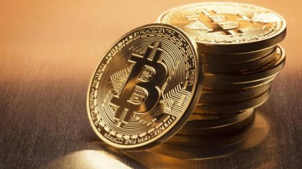 Неудачливый торговец биткоинами из Воронежской области потерял почти 700 тыс. рублей