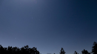 Пять дронов ВСУ уничтожили в Воронежской области 