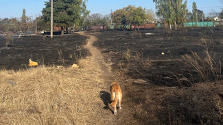 Воронежцам показали на фото последствия пожара в Отрожке