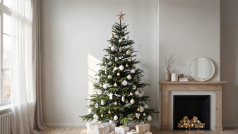 Воронеж вошёл в топ-10 городов России с самыми высокими новогодними ёлками