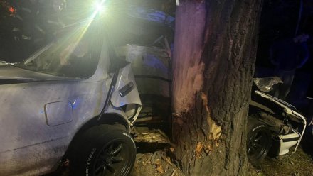 20-летний водитель иномарки погиб после столкновения с деревом в Воронеже