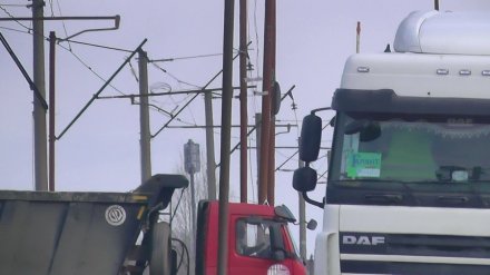 Стали известны роли чиновника и гаишника в воронежской ОПГ, заработавшей на фурах 7 млн
