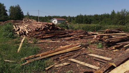 Жители посёлка под Воронежем забили тревогу из-за опасной лесопилки