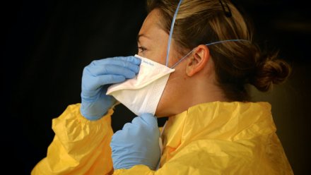 В Черноземье за сутки коронавирус нашли у 392 человек