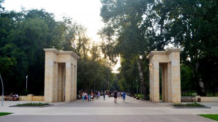 Реконструкцию «дикой» части Центрального парка в Воронеже отложили на неопределённый срок