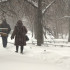 Воронежская область подготовилась к зиме-2027