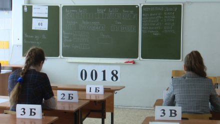 В Воронежской области 72 выпускника набрали 100 баллов на ЕГЭ