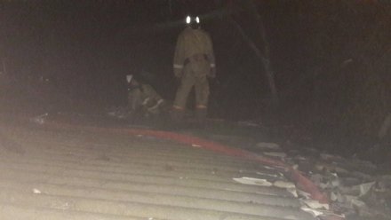 Огонь уничтожил гараж с иномаркой в Воронежском райцентре