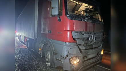 Пенсионер умер в больнице после ДТП с грузовиком на воронежской трассе