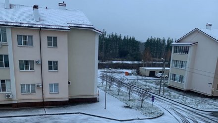 В Воронеже выпал первый снег