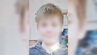 В Воронежской области начали поиски пропавшего без вести мальчика