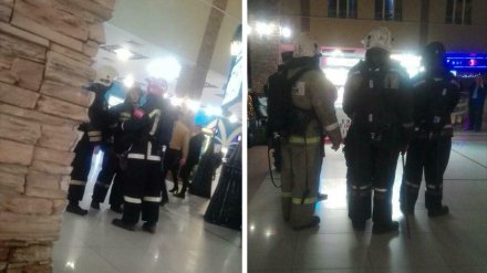 В Воронеже в крупный ТЦ из-за поросёнка на гриле приехали спасатели