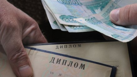 Воронежец недорого продавал фальшивые документы через сайт о заказе дипломов