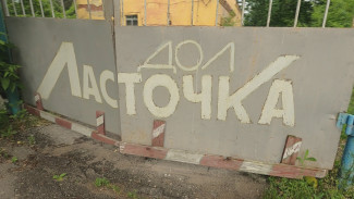 ЖК вместо лагеря. Воронежский бизнесмен захотел купить землю под бывшей «Ласточкой»