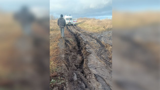 Под Воронежем селяне час вытаскивали из грязи застрявшую на дороге скорую с пациентом