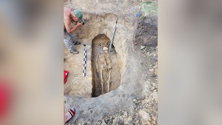 В Воронежской области нашли скелет человека