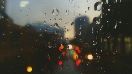 Нерабочий понедельник принесёт в Воронежскую область дожди
