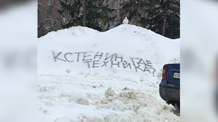 Воронежцы начали оставлять гневные послания мэру на сугробах