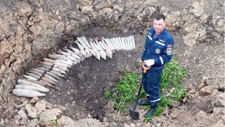 Более 50 боеприпасов времён Великой Отечественной войны взорвали в Воронежской области