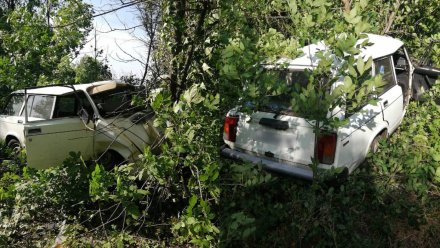 Водитель погиб при столкновении с деревом на трассе в Воронежской области